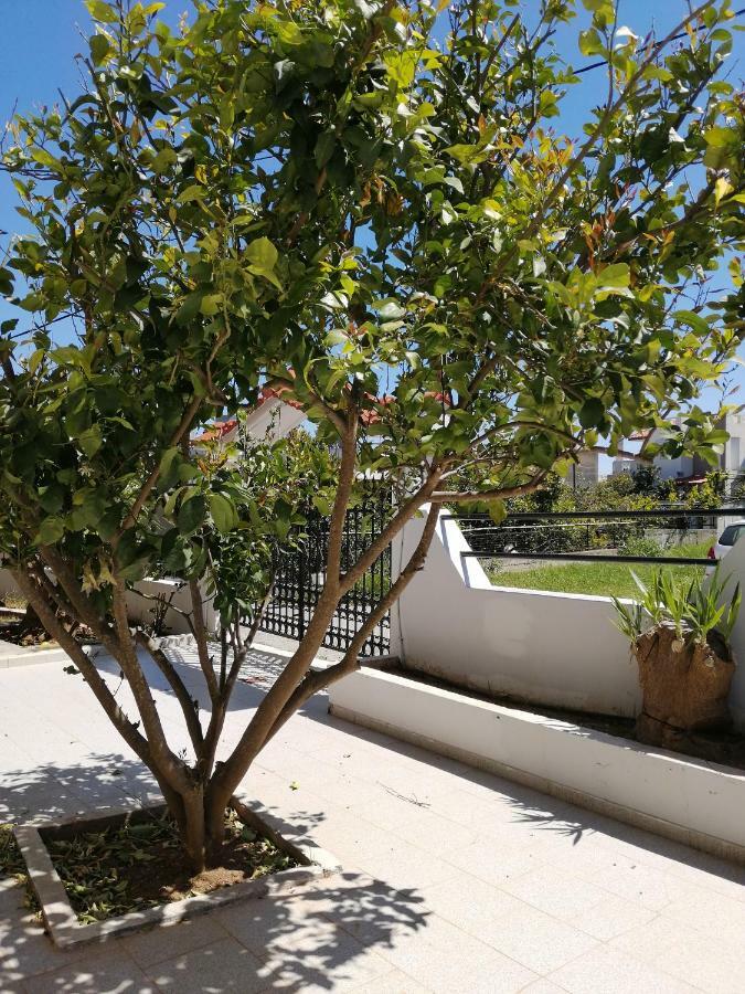 Psinthos Paulsia Apartments מראה חיצוני תמונה