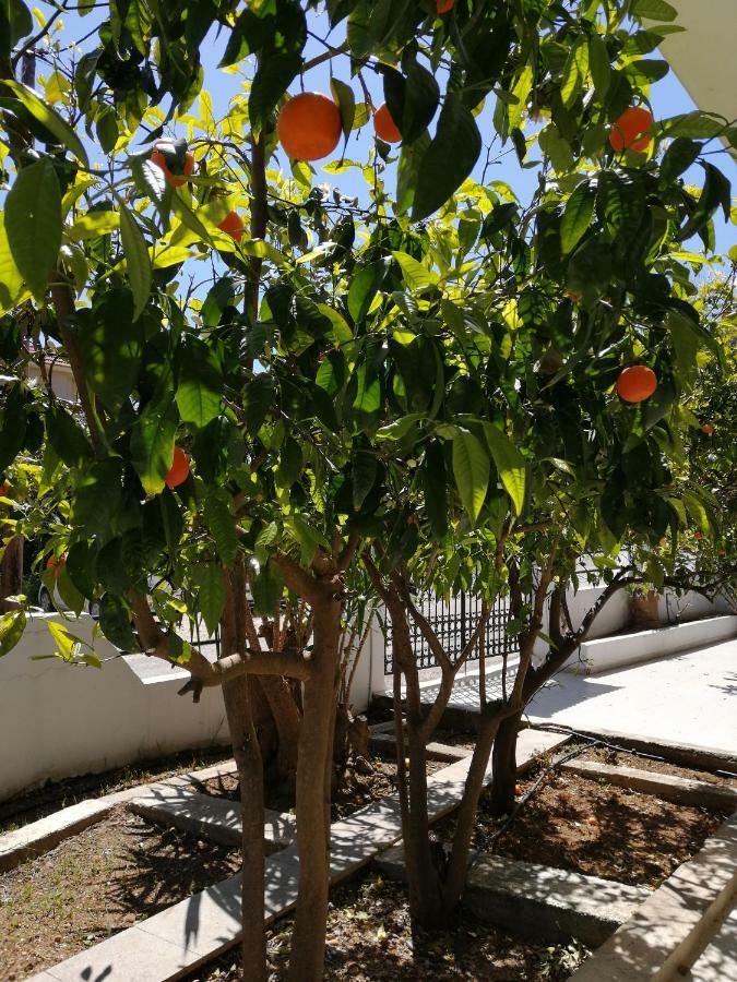 Psinthos Paulsia Apartments מראה חיצוני תמונה